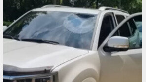 고가도로서 고양이 ‘뚝’ 떨어져…차량 앞유리 와장창 