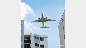 [고양이 눈]여행 상상