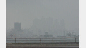 [날씨] 수도권 짙은 안개…서울·대전 등 영하권 추위