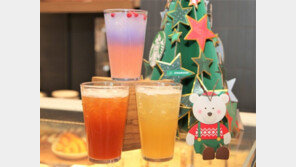 이렇게 추운데 ‘얼죽아’?…스타벅스 고객 10명 중 7명 아이스 음료 선호