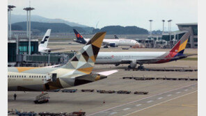 비행기-새 충돌 막으려 쏜 산탄총 파편에 시민 부상