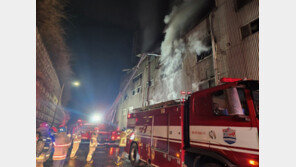 당진 합금철 제조업체 화재로 근로자 4명 사상…중대재해처벌법 조사