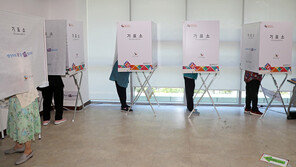 사전투표소 주변서 특정 정당 옷입고 투표 독려…선거운동원 3명 벌금형