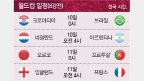 월드컵 일정(8강전)