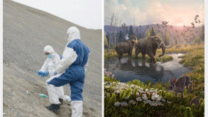 “따뜻했던 그린란드엔 다양한 동식물 살았다”… ‘환경DNA’로 200만 년 전 생태계 재현