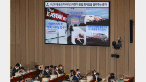 검찰, ‘타이이스타젯 배임·횡령 사건’ 이스타항공 본사 등 압수수색