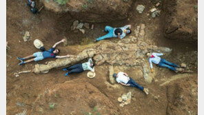 네스호 괴물 닮았네…목 긴 바다공룡 화석 발굴