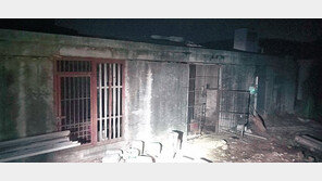 울산 ‘불법 사육’ 곰 3마리, 60대 주인 부부 습격 참변 