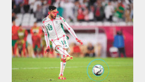 합격점 ‘AI 심판’, 박진감 높이고 오심은 줄여[IT가 바꾸는 스포츠/정윤수]