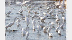 수요일부터 -12도 전국 ‘꽁꽁’…강풍·한파 한번에