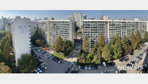 법원, 은마아파트 주민들 정의선 자택앞 시위 ‘제동’