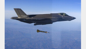 “일본, ‘대만 우려’ 반영해 英·伊와 차세대 전투기 개발”