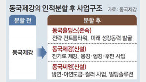 동국제강, 내년 지주사 체제로 전환… 철강 ‘인적분할’ 사업구조 개편 착수
