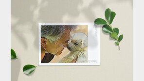 8700만원 모인 文 반려견 달력, ‘기부’ 문구 돌연 삭제…왜?