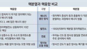美, 인공태양 핵융합 발전… 무제한 에너지 생산 첫발