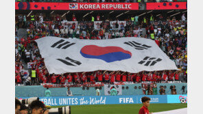 “한국팀 아니어도 월드컵 보고 즐긴다”…MZ세대 강타한 ‘중꺾마 열풍’