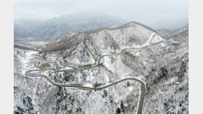 태백 등 4곳 대설주의보 발효…총 8곳 으로 늘어나