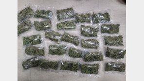 해외서 2억 상당 대마 사들여 국내 판매, 30대 징역 5년