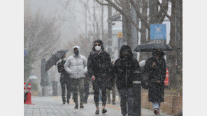 “내일까지 중부에 10㎝ 눈”…행안부, 중대본 1단계 가동