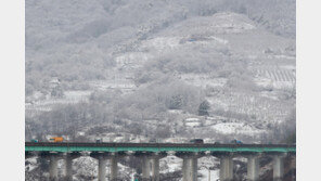 충청 벌써 10㎝ ‘눈 이불’…중부 밤새 ‘펑펑’ 쏟아진다