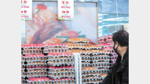 AI 확산에 들썩이는 계란 값