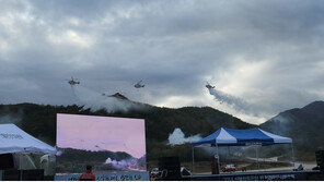 삼척 산불 4시간여 만에 큰 불길 잡아…3㏊ 소실 추정