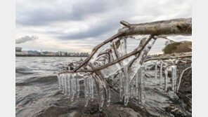 ‘최강한파’와 한랭질환 함께 온다…2주새 3명이나 추위로 숨져