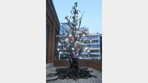 희망브리지, 산불 재난 경각심 제고 위한 ‘블랙트리’ 캠페인 추진