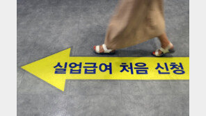 유령회사서 52명 실직·가짜 육아휴직…고용보험 26억 빼먹어