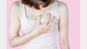 ‘이것’ 즐겨먹는 여성, 심혈관 질환 위험성 뚝↓