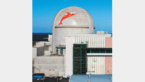 한전, 튀르키예와 40조 규모 원전 수출 논의