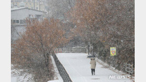 ‘중부 10㎝이상 눈’ 대설주의보 발효…중대본 1단계 가동