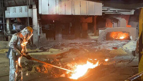 EU, 탄소국경세 도입…포스코 ‘전기로 전환’ 속도낸다