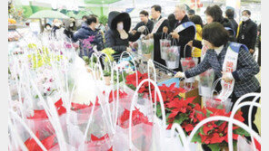 “예쁜 꽃 받아 가세요” 화훼농가 돕기 이벤트