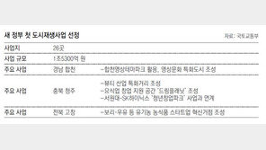 합천은 영상문화 도시로… 청주는 화장품 중심지로 육성
