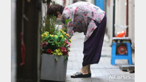 “우울한 여성 노인, 남성보다 2배 이상 많다”