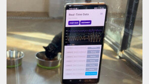 [스타트업-ing] 우주라컴퍼니 “펫 보험 손해율, 반려동물의 몸과 마음을 이해해야 낮출 수 있습니다”