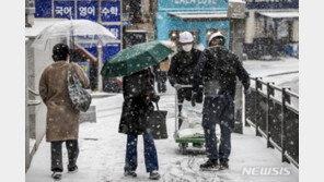토요일도 강추위…제주도에 최대 50㎝ 폭설