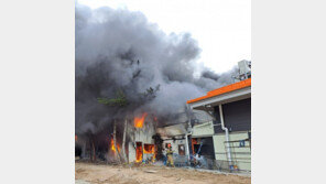 영덕 식자재마트서 불…4시간50여분만에 완진