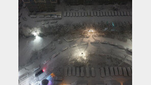 서해안·남부 월요일까지 많은 눈…“20일 낮부터 평년기온 회복”