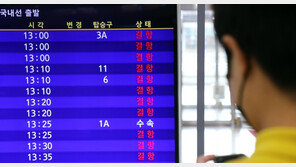 한라산 31.6㎝ 대설…제주 항공기 95편 무더기 결항, 뱃길도 통제