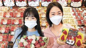 ‘피치’… ‘홍희’… 딸기페스티벌