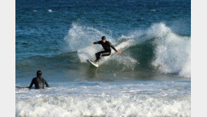 한파 뚫고… ‘겨울바다’를 가른다
