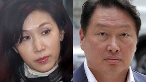 노소영, 이혼소송 항소…“최태원 주식가치 증가 기여 인정해야”