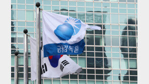 ‘투자손실보장’ 미끼로 투자 유인…금융당국, 소비자 ‘주의’ 경보