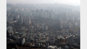 “세입자 계약갱신 요구뒤 바뀐 집주인… 실거주 원하면 세입자 내보낼 수 있다” 