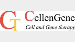 암세포만 추적 공격하는 차세대 항암제 개발