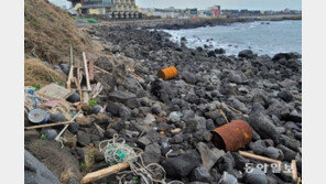탐방객 늘며 10년간 쓰레기 1.7배로… 제주도, 환경보전분담금 도입 추진 