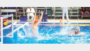 한파 녹이는 동아수영 열기… 대학일반부 수구경기