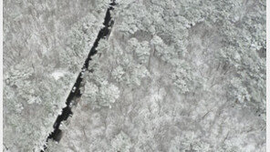 한라산 자락 수놓은 눈꽃